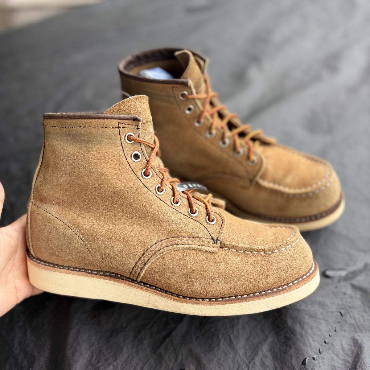 RedWing 8850 รูปที่ 2