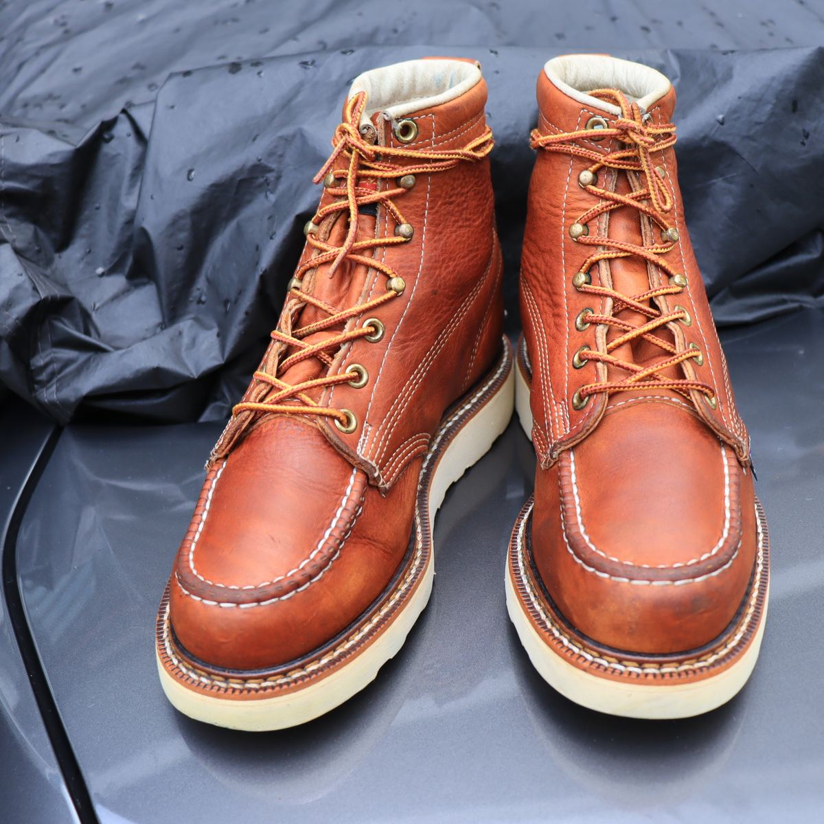 Thorogood 814-4200 รูปที่ 3