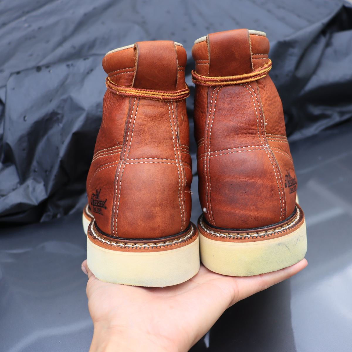 Thorogood 814-4200 รูปที่ 5