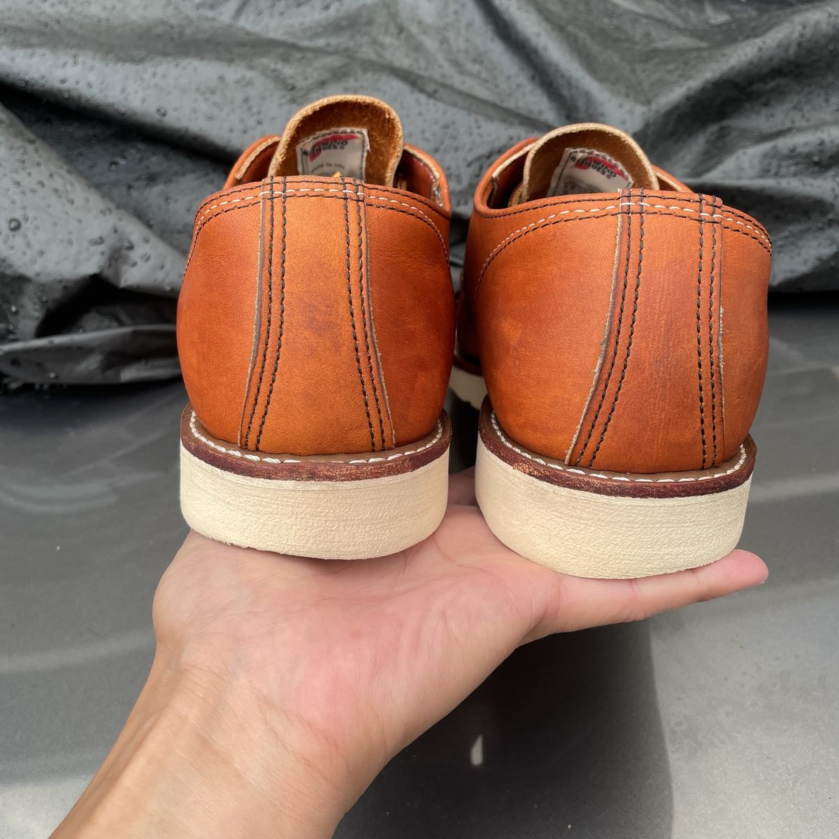 RedWing 8092 รูปที่ 4